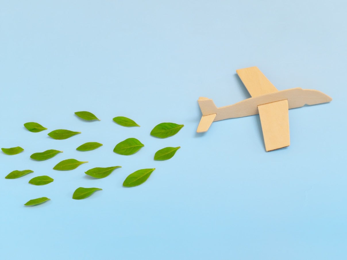 Guide to choosing ecofriendly flights